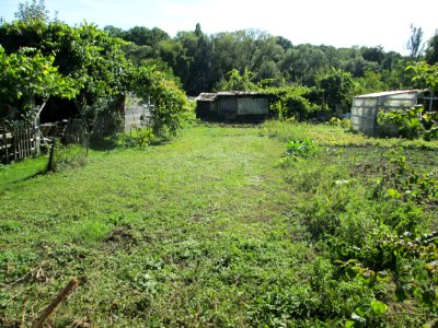 20190914Schrebergarten_Brebach3