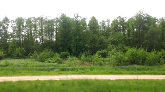 20190524_103908_Podlaskie_Voivodeship._May_2019