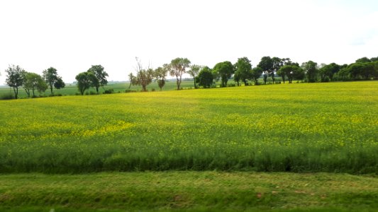 20190524_101857_Nature_of_Poland_May_2019