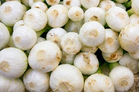 Fresh market food