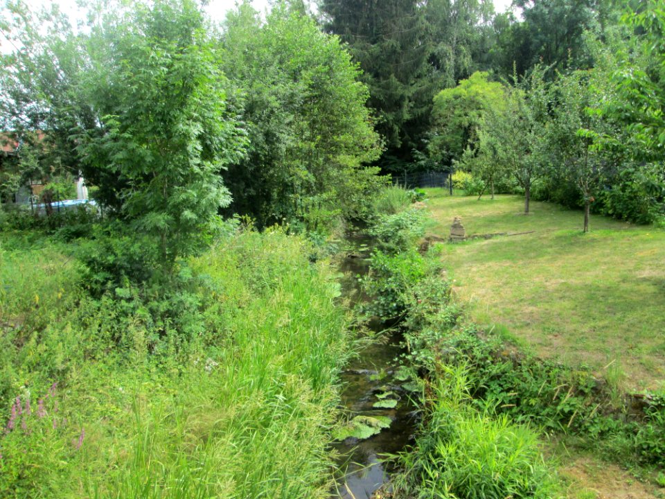 20190722Saarbach2