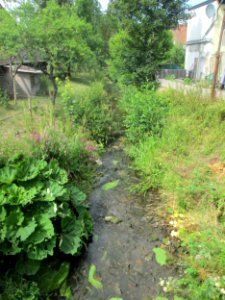 20190722Saarbach1