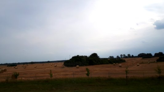 20190722_171947_July_2019_Lubusz_Voivodeship