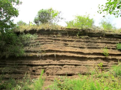 20190811Sedimentwand_Lavakaul3
