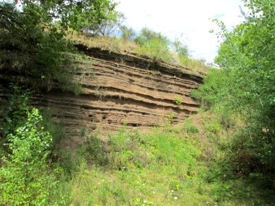 20190811Sedimentwand_Lavakaul2