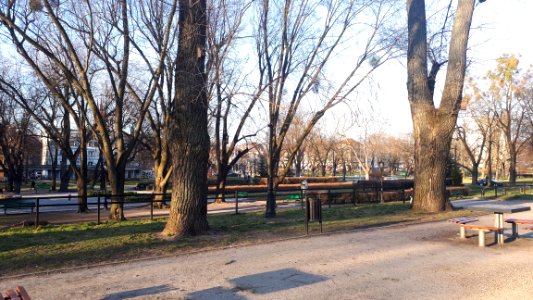 20190320_park_staromiejski_lodz_march_2019