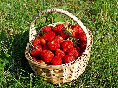 Eat healthy berries vitamins
