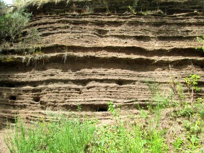 20190811Sedimentwand_Lavakaul1