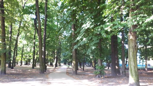 20190624_073937_Park_Reymonta_w_Łodzi
