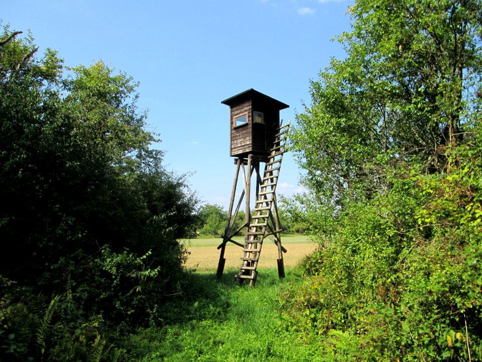 20190826Hochsitz1