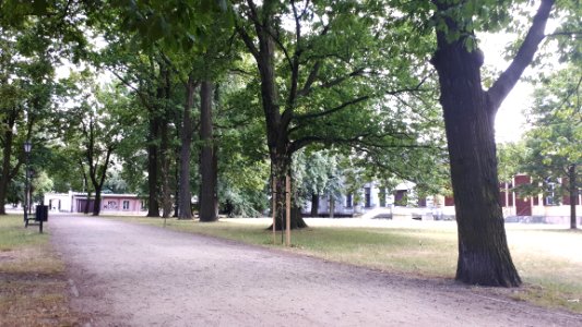 20190712_165757_Park_Helenow,_Lodz._July_2019