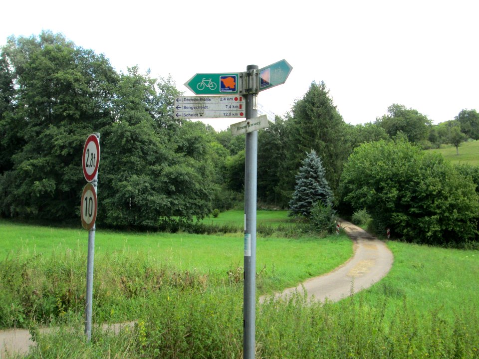 20190819Bischmisheim1