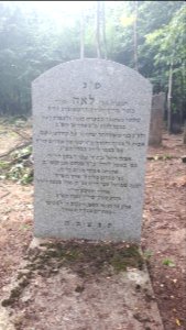 20190818_160202_Łódź_Jewish_Cemetery