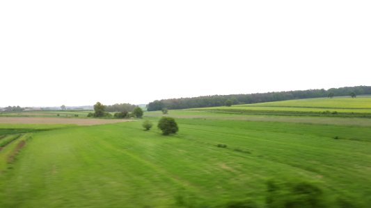 20190524_070206_Lodz_Voivodeship
