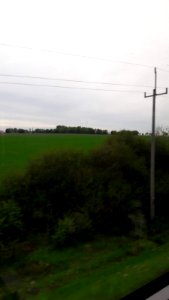 20190513-poland_nature_fields