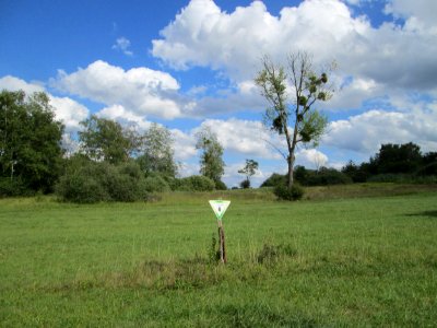 20190819NSG_Wusterhang_und_Beierwies6