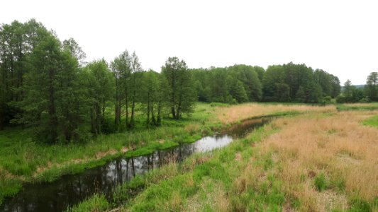 20190524_130815_svislach_river_at_bobrowniki-berastavitsa_border