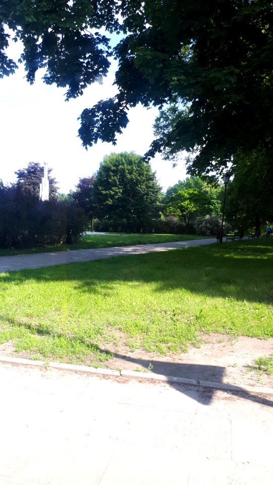20190601_085809_Park_Helenow_Lodz_June_2019