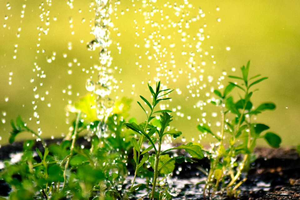 Casting water nature