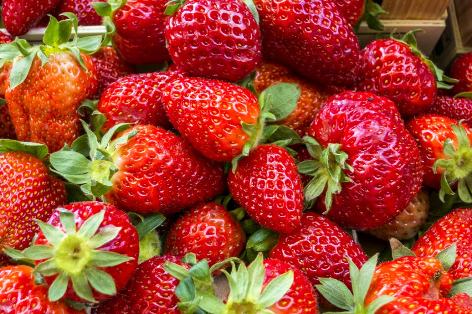 Red sweet delicious