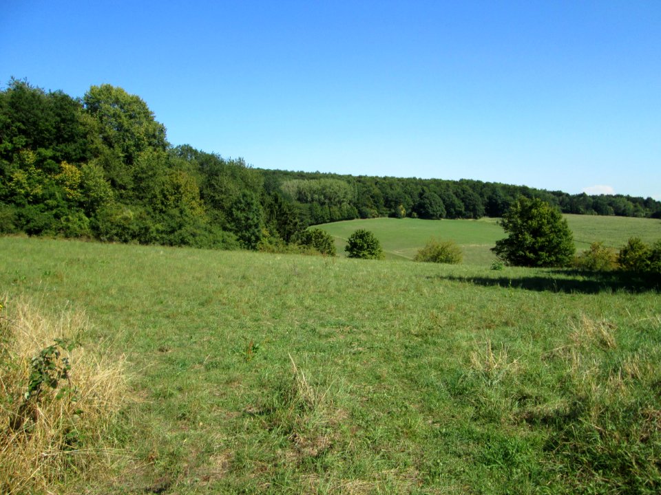 20190830Bischmisheim1