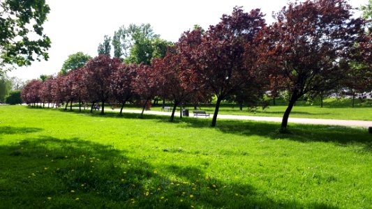 20210527_155227_Jadwiga_Dziekońska_Park_in_Białystok