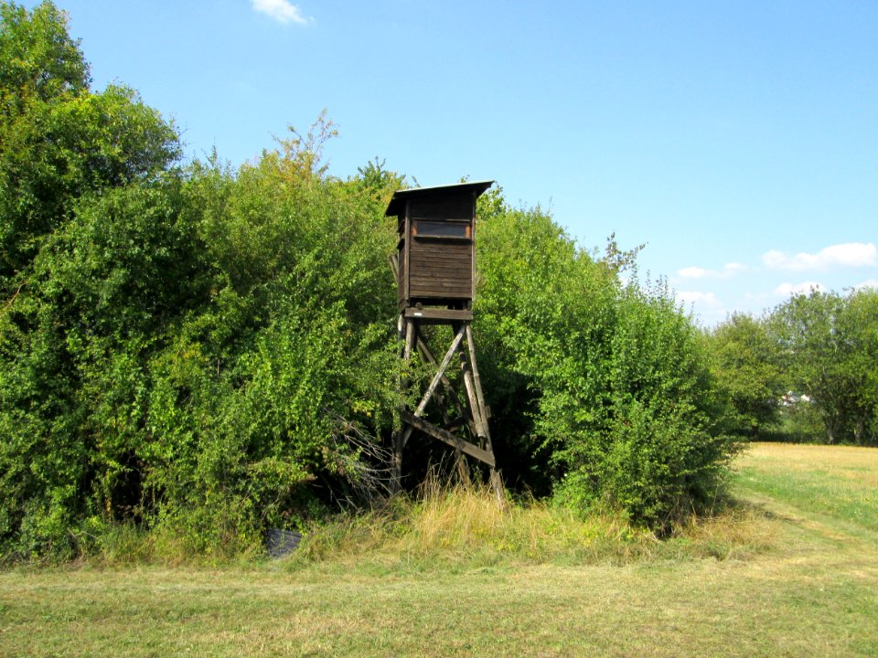 20190826Hochsitz