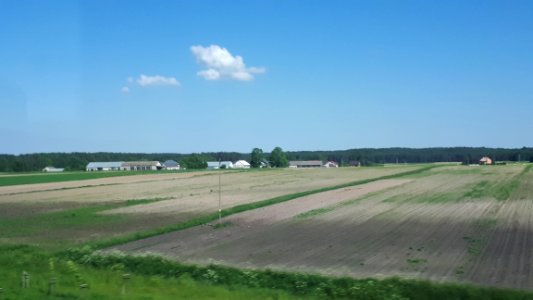 20210602_091618_Krajewo-Łętowo