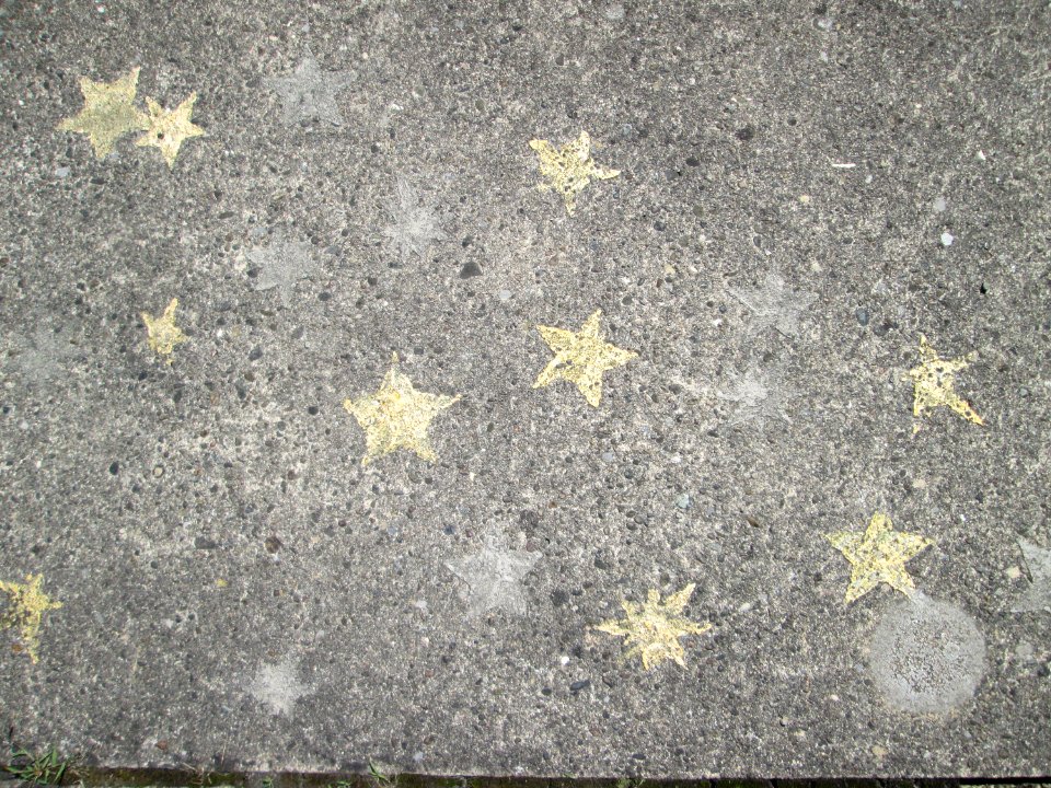 20190823Flechten2