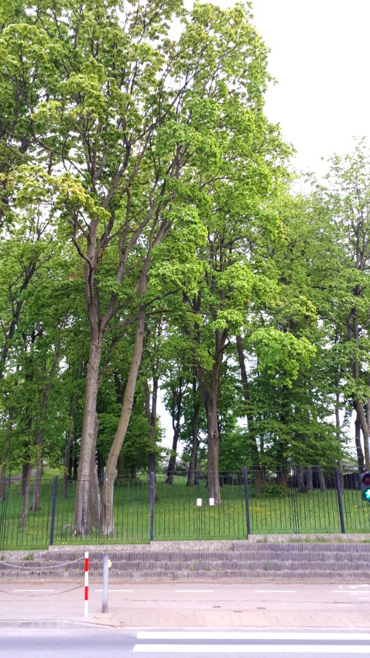 20210518_183527_May_2021_in_Białystok