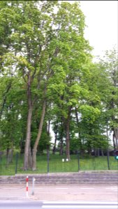 20210518_183527_May_2021_in_Białystok