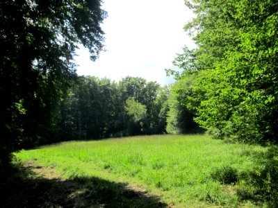 20190819NSG_Wusterhang_und_Beierwies4