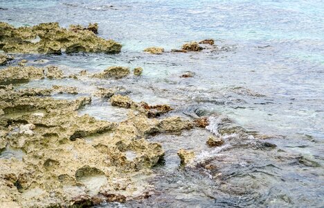 Sea tropical reef
