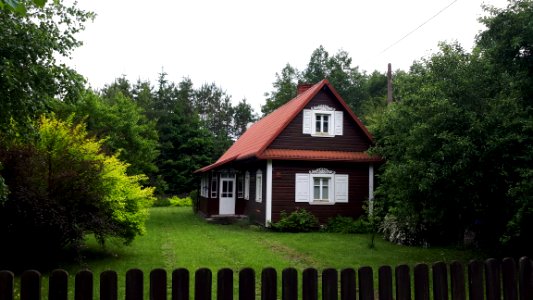 20210612_170148_June_2021_in_Białowieża
