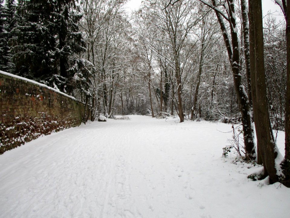 20210117Zur_Alten_Fähre_15-17_Brebach