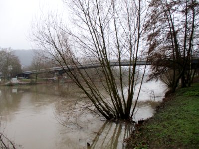 20210131Saar5