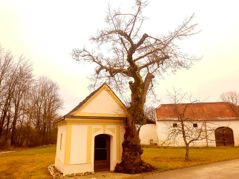 20210131_ND_Linde_Ödmühle_MÜ