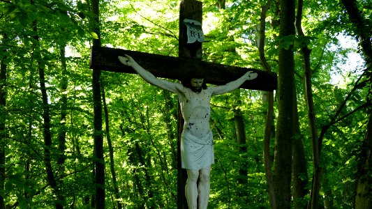 2021.05.31.171323_Cross_Forest_Erling_Andechs_Bavaria_Germany