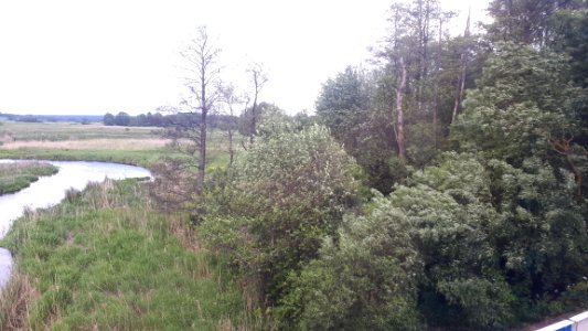 20190527_153759_Свіслач_Belarus-Poland_border_May_2019_Berastavitsa_Bobrowniki