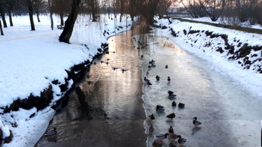 20210122_154310_Park_Antoniuk_in_Białystok