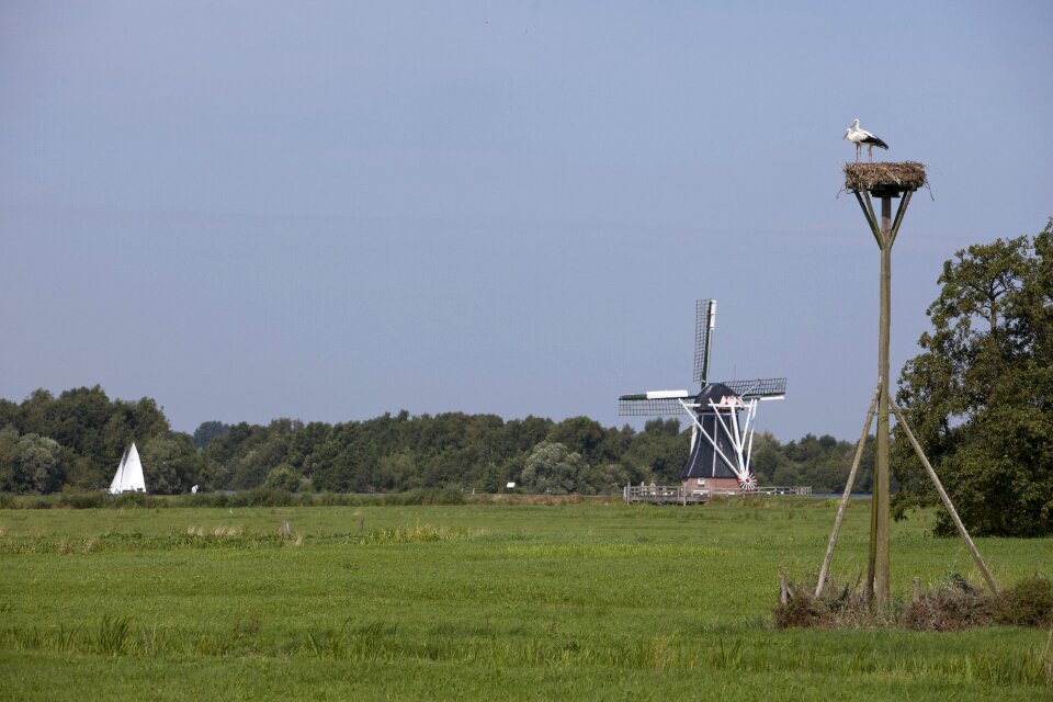 Nature netherlands blue