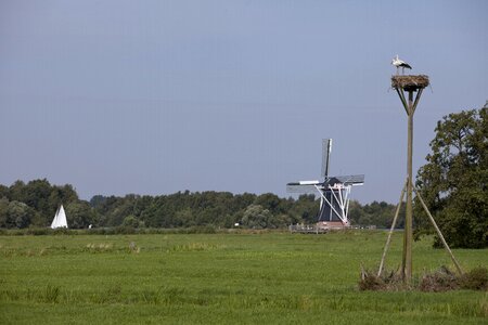 Nature netherlands blue