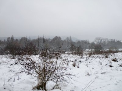 20210117St._Arnualer_Wiesen6