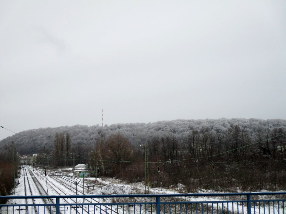 20210114Güdingen_Bahnstrecke3