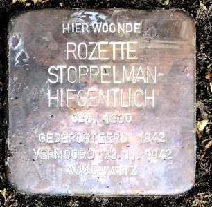 20210605_Burgemeester_Reijndersstraat86_88_(detail4)