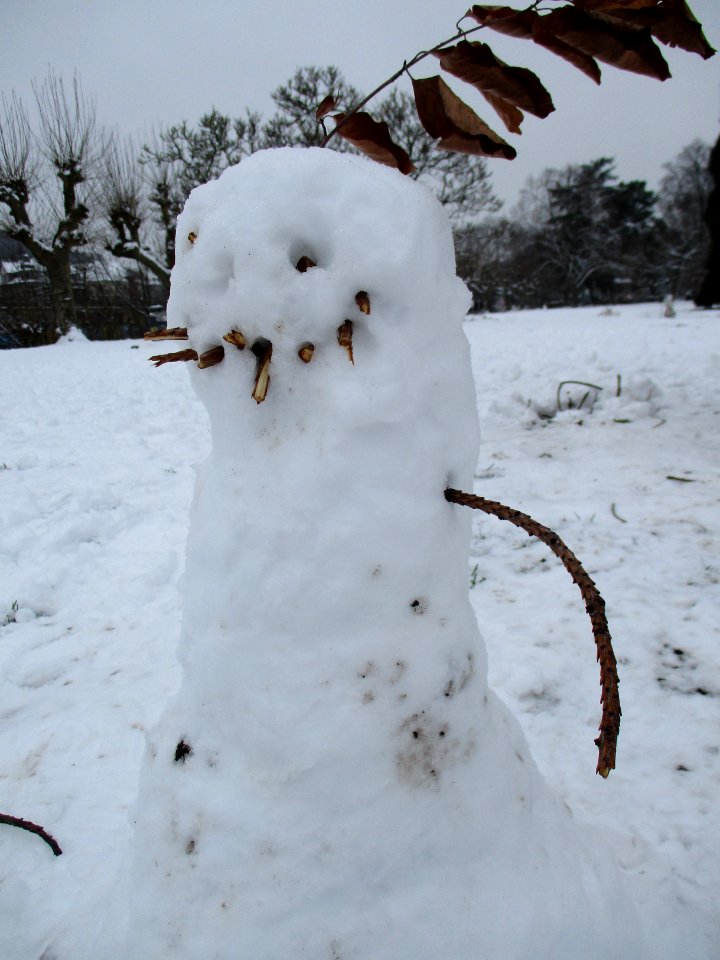 20210117Schneemann_Saarbrücken11