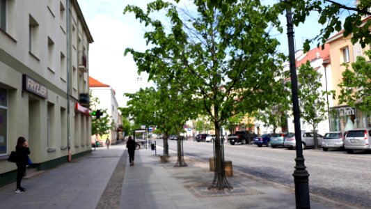 20210522_101909_Lipowa_Street_in_Białystok