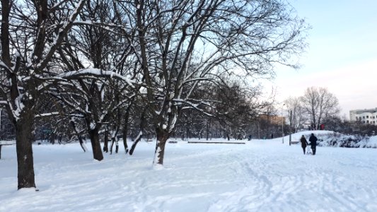 20210117_152617_Park_Centralny_in_Białystok
