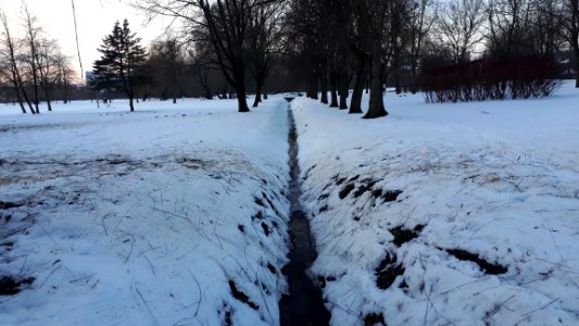20210122_154049_Park_Antoniuk