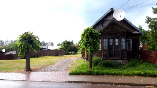 20210612_164600_June_2021_in_Białowieża